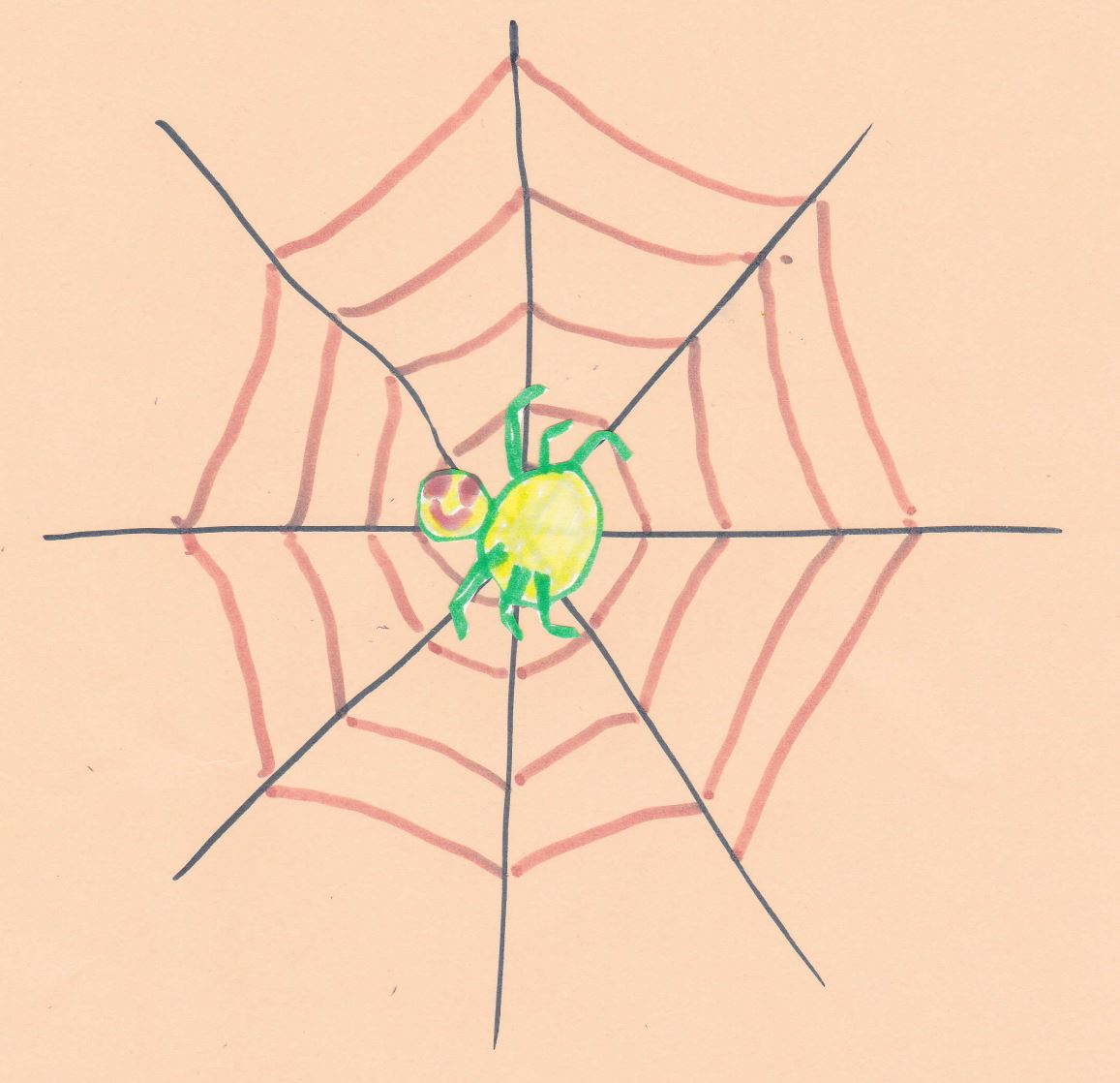 Afbeelding van een spinnenweb.